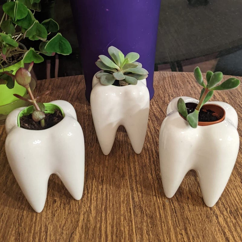 YOFIT Modern Style Teeth Pots Ceramic Flower Pot for Dental Gifts, White Succulent Cactus Bonsai Planter Container for Dental Office Decor, 3.7" Set of 4 - Image 5